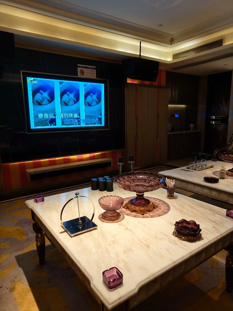 菏泽商务ktv最佳选择商务ktv攻略指南-成武县ktv预定